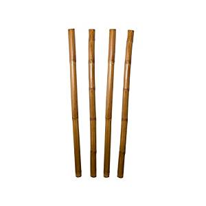 Cañas de bambú decorativas