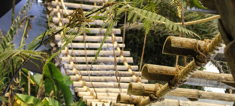 el-bambu